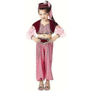  Dream Genie Costume Girls 10 12: Everything Else