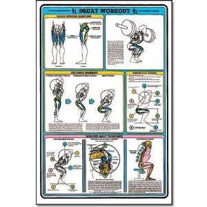  Algra Fitnus Chart  Squat Workout Chart: Sports & Outdoors