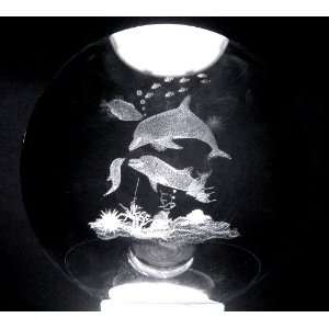   Ball Ocean World Dolphin Family + 3 Led Light Stand: Everything Else