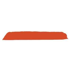 Trueflight Right Wing Full Length Feathers 100 Pack   Orange:  