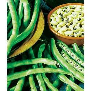  Cowpea, California Blackeye No.5 1 Pkt. (100 seeds) Patio 