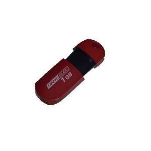  Dane Elec 1GB USB Portable Memory Flash Drive   Red: MP3 