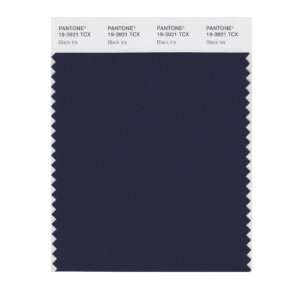   PANTONE SMART 19 3921X Color Swatch Card, Black Iris: Home Improvement