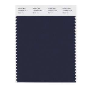   PANTONE SMART 19 3921X Color Swatch Card, Black Iris