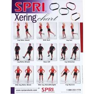 SPRI Xering Exercise Wall Chart:  Sports & Outdoors