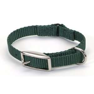 Coastal Pet Products CO00916 301S .38 in. Web Safety Collar   Hunter