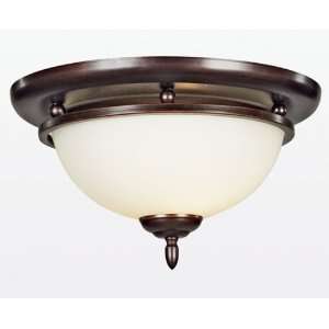  Close to Ceiling Davu Small Mount: Home & Kitchen