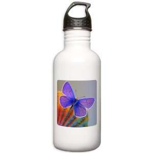   Stainless Water Bottle 1.0L Xerces Purple Butterfly: Everything Else