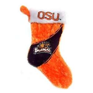  Oregon State Beavers 17 Color Block Stocking: Sports 