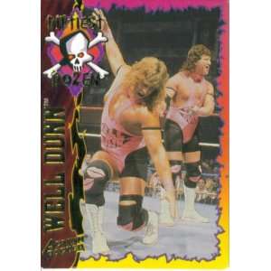  1995 WWF Wrestling Action Packed Card #31  Well Dunn 