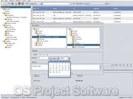 Business Project Management Office Accounting PDF Software Bundle 