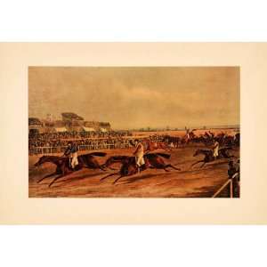  1927 Tipped In Blackmore Tintex Print Aintree Race Horse 