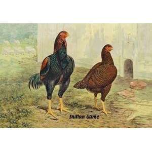  Vintage Art Indian Game (Chickens)   05634 7: Home 