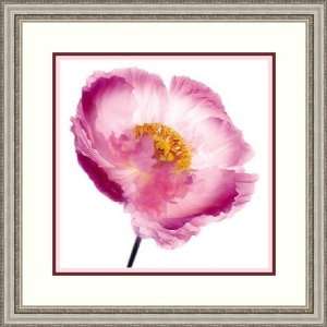  Pink Poppy by Ian Winstanley   Framed Artwork