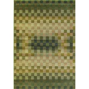  Central Oriental Images Calais Sea Green Area Rug