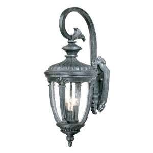  Acclaim Lighting Monte Carlo Outdoor Sconce: Home 