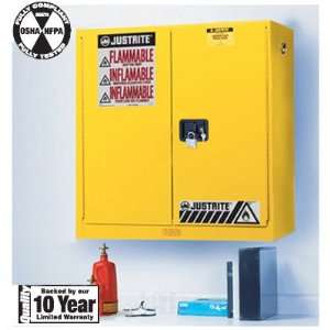  2 Door Wall Mount 20 Gallon Flammable Cabinets: Everything 