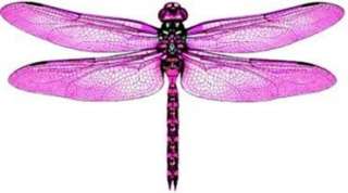 10 x 3D PINK Dragonfly Nursery Baby Girls Room Gift  