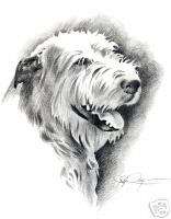 IRISH WOLFHOUND Pencil Drawing 8 x 12 ART DOG Print Signed DJR  