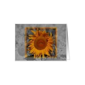 BW Color Sunflower Cancer Survivor Card Health & Personal 