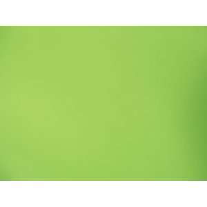  60 Wide Lime Brushed Satin Fabric By the Yard Arts 