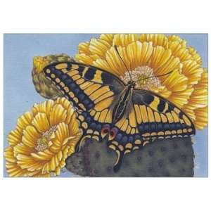   & Moths Note Card by Martha Anderson, 6.25x4.5: Home & Kitchen