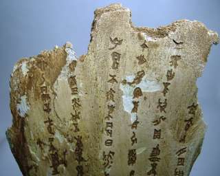 Chinese Ritual Oracle Bone  CHARACTERS INSCRIPTION  