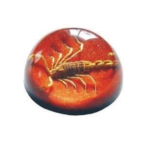   TC101 Real Bug Terrain Small Scorpion Red Background: Office Products
