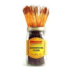  Wildberry Incense Sticks: Simmering Cider: Beauty