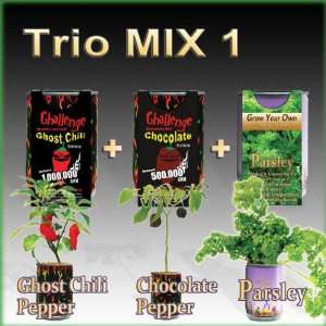 Grow Your Own Peppers (All In One Trio Pack Ghost Chili + Chocolate 