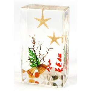  Real Double Star Fish Paperweight Medium 