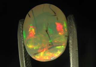 Ethiopian Wello Polished Plant Fossil Opal 2.7 CT EI498  