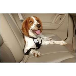  Classic Pet Products Car Harness Lg: Kitchen & Dining