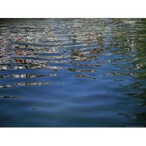  Ripples in Water Break up a Reflection into Hundreds of 