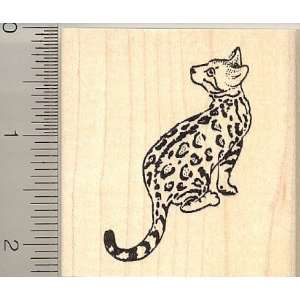 Bengal Cat Rubber Stamp   Wood Mounted