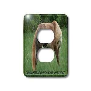Rebecca Anne Grant Photography Designs Horses   Funny Horse Green 