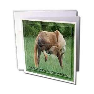  Rebecca Anne Grant Photography Designs Horses   Funny Horse 