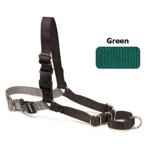  Easy Walk Dog Harness   Green/Black: Pet Supplies