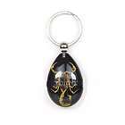 KEYCHAIN REAL GENUINE INSECT BUG SCORPION IN BLACK LUCI
