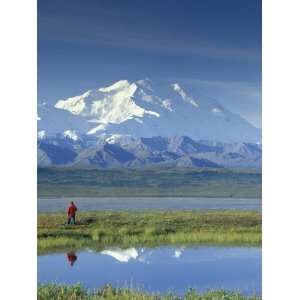  Hiker Viewing Mt. McKinley, Denali National Park, Alaska 