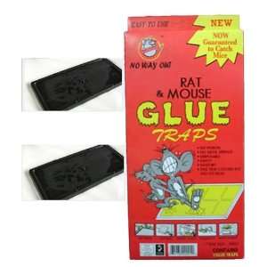  Rat and Mouse Glue Traps Set of 2 large: Patio, Lawn 