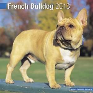  French Bulldog 2013 Wall Calendar 12 X 12 Office 