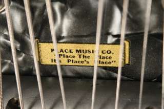 1953 Valco ALKIRE EHARP 10 string lap STEEL guitar PEARLOID!!!  