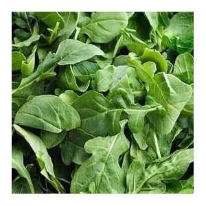 300 + Arugula/ Roquette (Salad) Seeds This luscious tangy 