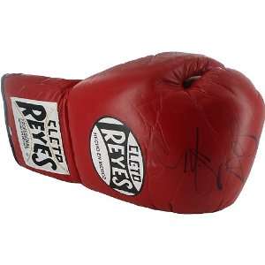    Miguel Cotto Cleto Reyes Fight Model Glove: Sports & Outdoors