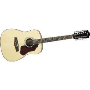  Ibanez SGT122NT Sage Series 12 String Acoustic Guitar 