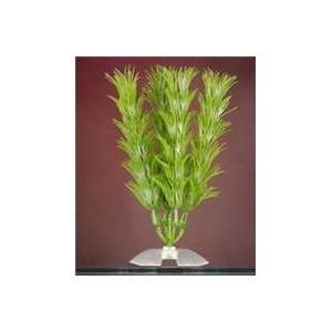  6 PACK CABOMBA AQUAR PLANT, Color: GREEN; Size: XSMALL (Catalog 