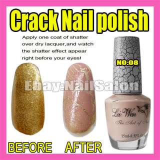 New Nail Art Crack Pattern Nail Polish Varnish F282  
