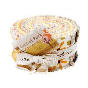   Central Park 2 1/2 Jelly Roll By The Each Arts, Crafts & Sewing