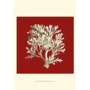  Small Coral on Red IV (P)   Poster by Vision studio (13x19 